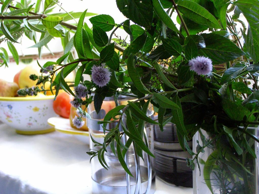 פורטוסין Cozy Holiday Home In Porto Do Son Near Beach מראה חיצוני תמונה